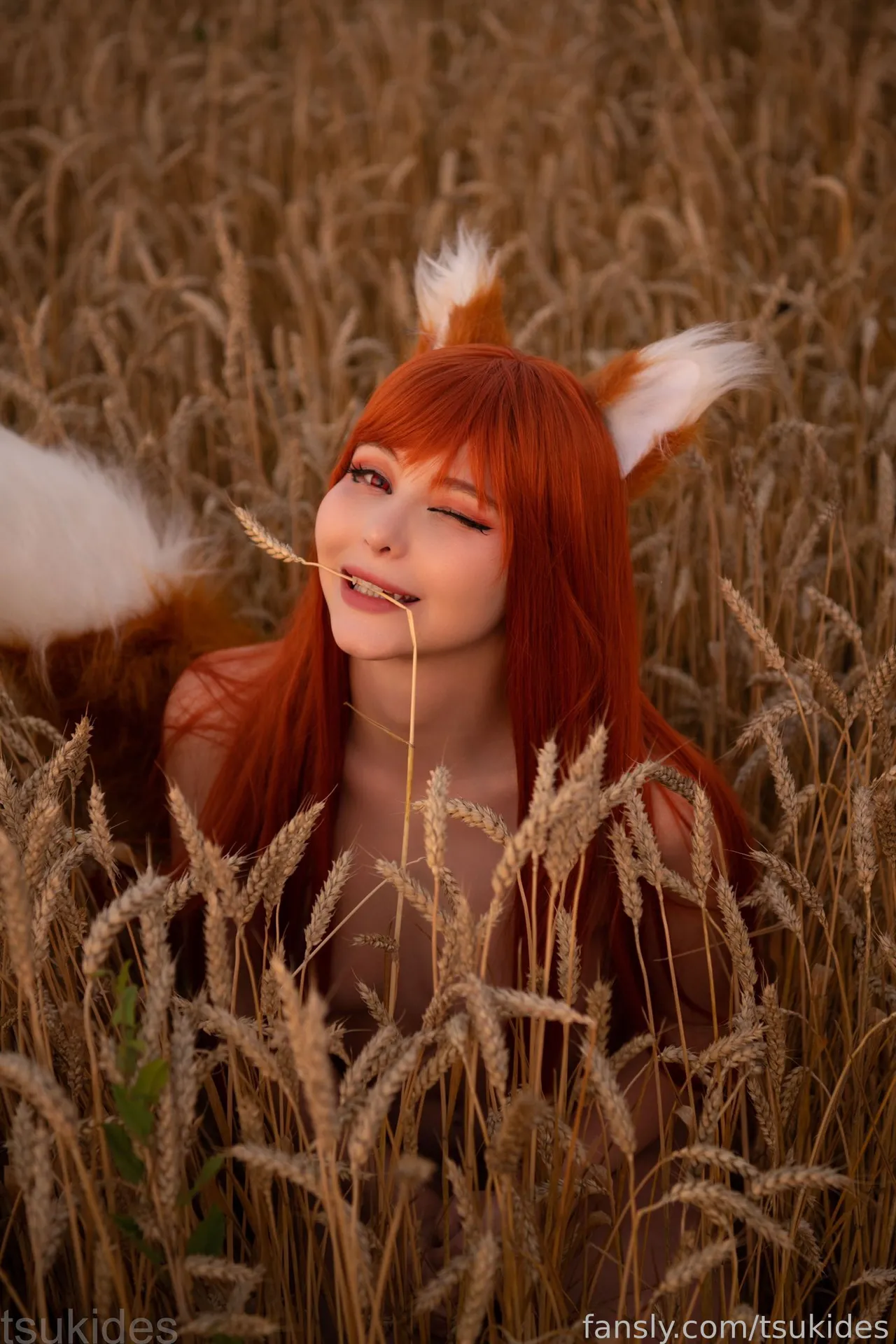 Tsuki Desu- Holo in a field-erohere52.webp